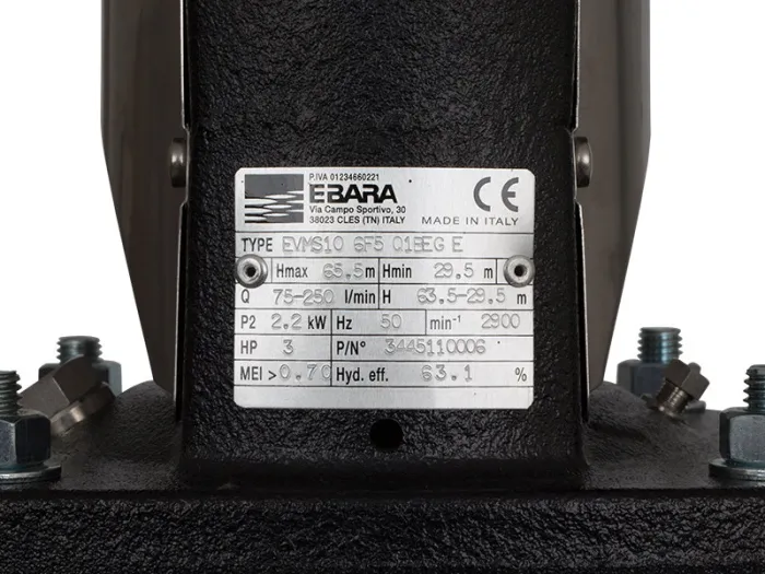 Насос EVMS10 6F5 Q1BEG E/2,2