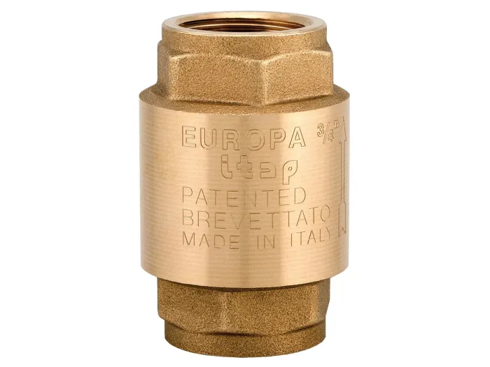 Зворотній клапан EUROPA 2"