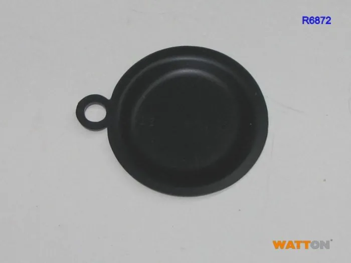 Мембрана R6872
