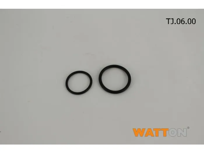 O-Ring (06), набір 2шт, G-Eco-Silver F
