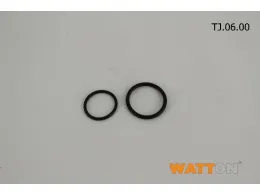 O-Ring (06), набір 2шт, G-Eco-Silver F