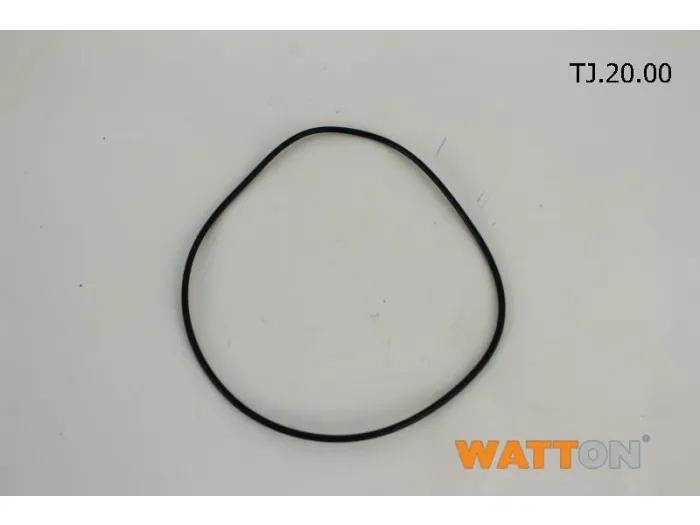 O-Ring (20) G-Eco-Silver F