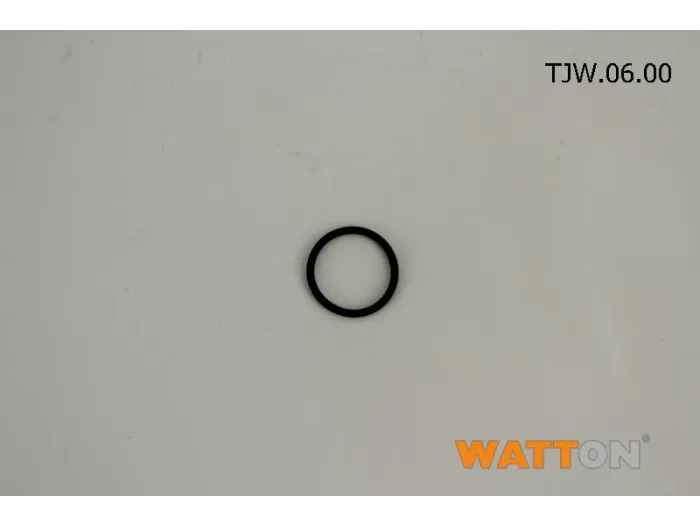 O-Ring(06) Eco 100L AF-CF