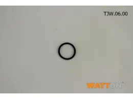 O-Ring(06) Eco 100L AF-CF