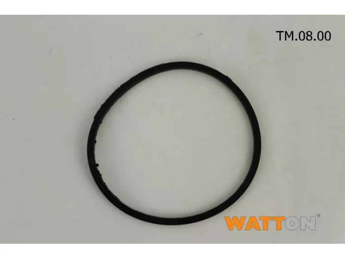 O-Ring (08) Multi CF